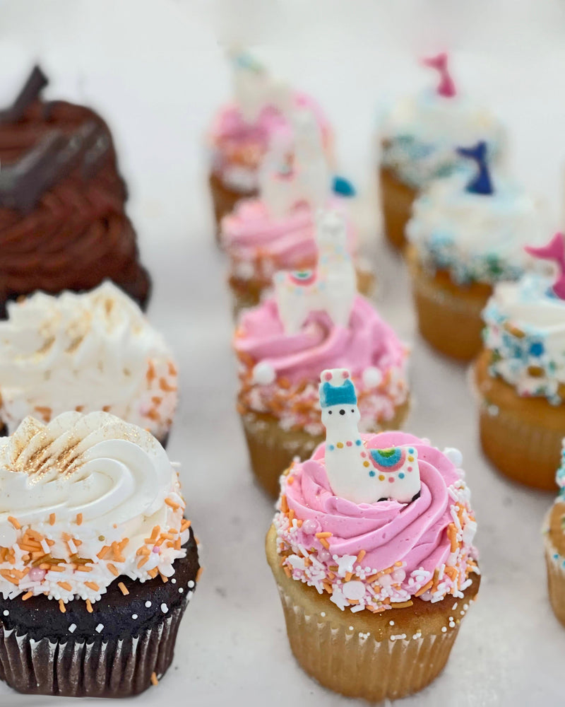 Mini Cupcakes